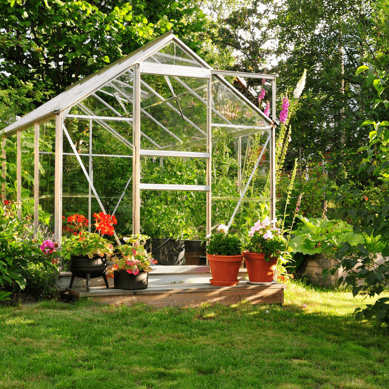 Sådan forbereder du drivhuset til hjemmedyrkning 🌿🌞